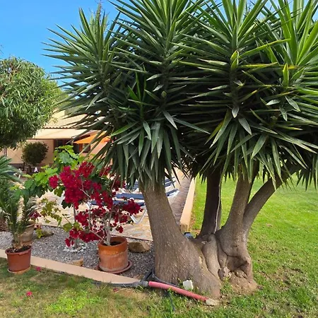 Casa La Siesta- Ruhiges In Cala Ratjada, 300 M Vom Son Moll Entfernt * 卡拉纳雅达