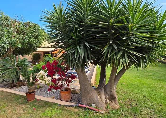 Casa La Siesta- Ruhiges In Cala Ratjada, 300 M Vom Son Moll Entfernt * Cala Ratjada (Mallorca)