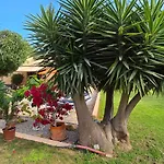 Casa La Siesta- Ruhiges In Cala Ratjada, 300 M Vom Son Moll Entfernt * Cala Ratjada (Mallorca)
